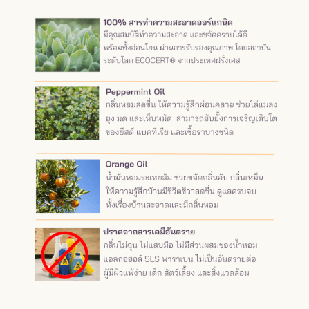 น้ำยาทำความสะอาดอเนกประสงค์ PETTO BONNYS สูตรเข้มข้น กลิ่นเปปเปอร์มินต์และส้ม 600 มล. ชนิดถุงเติม 12 ถุง_2